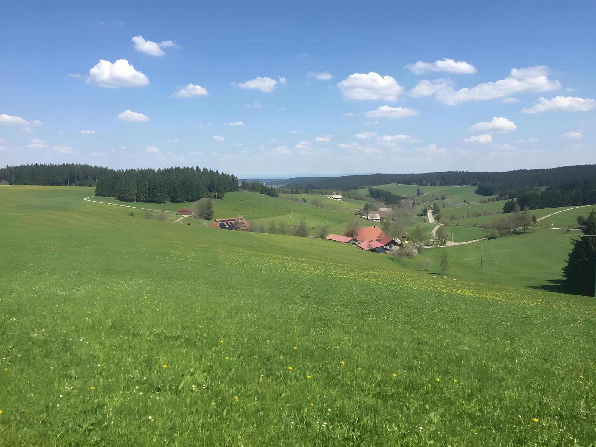 Blackforest Ferienwohnung Sankt Georgen im Schwarzwald Exterior foto