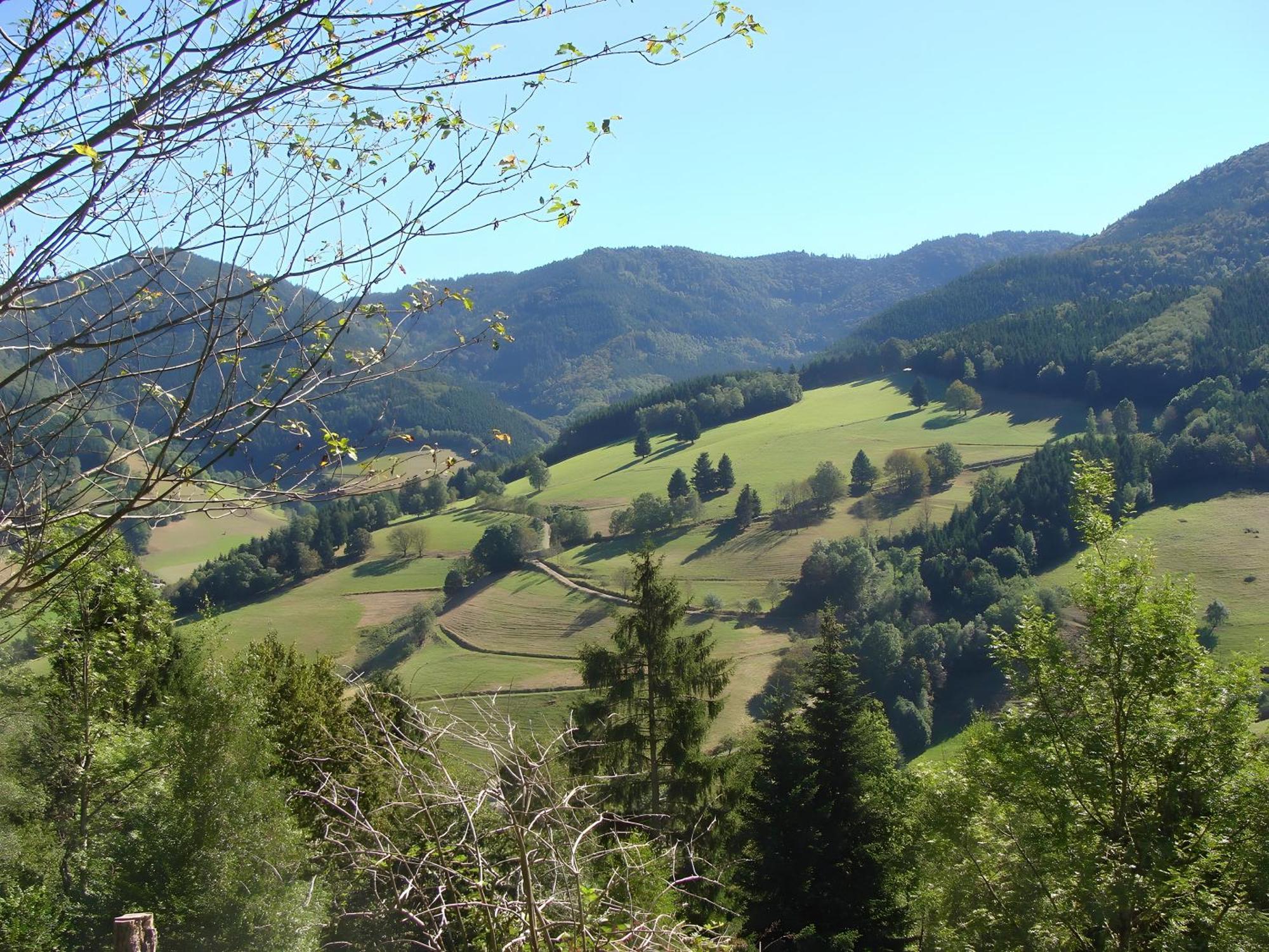 Blackforest Ferienwohnung Sankt Georgen im Schwarzwald Exterior foto